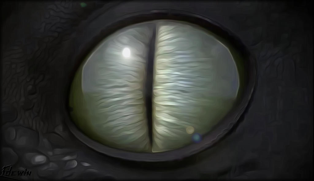 Toothless Eye by edewin on DeviantArt