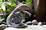 Eelguana - 3D print - Photoshoot by Verokomo