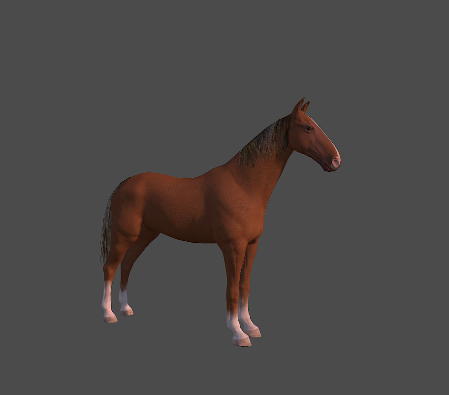 Horse