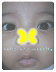 hello butterfly