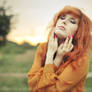 Ginger fields.