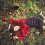 What happened in the forest.