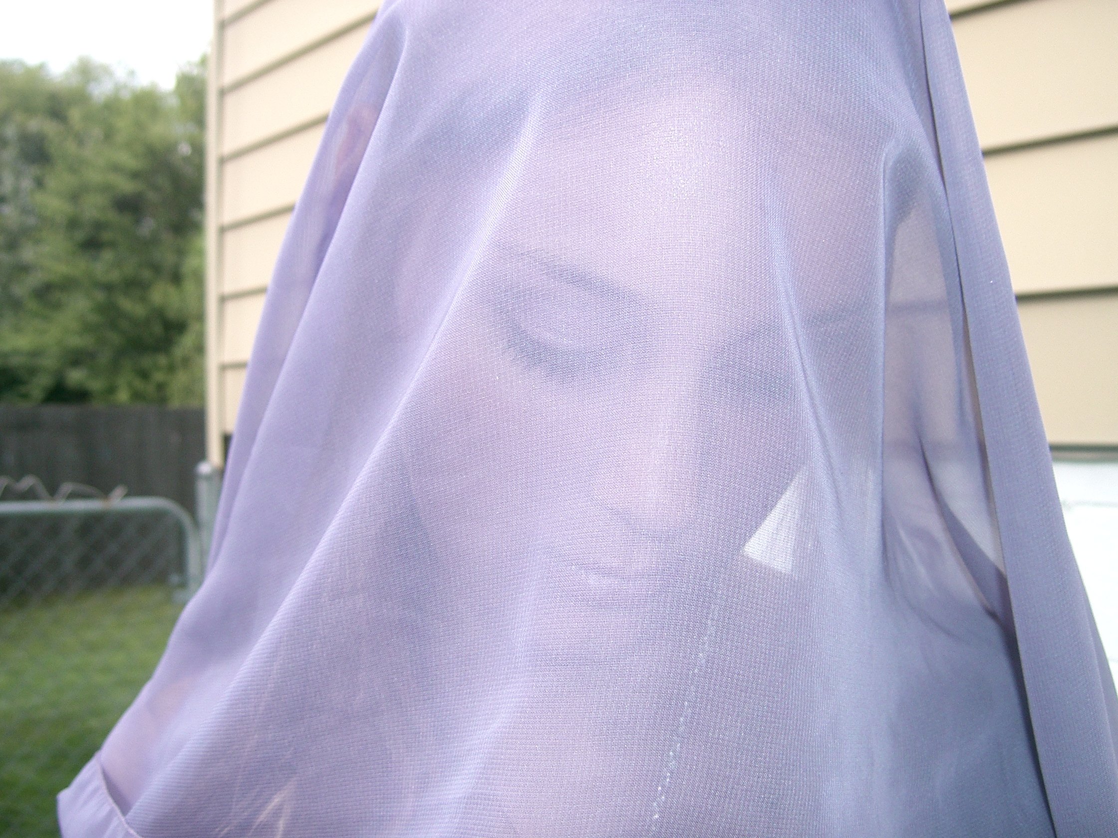 Miss Mab Veiled Portrait2