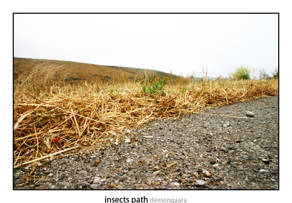 Insects Path by DemonGaara on DeviantArt
