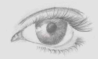 An eye