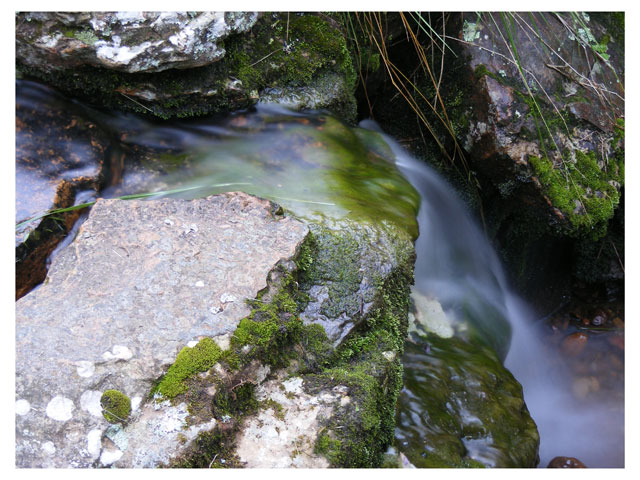 Bubbling Stream