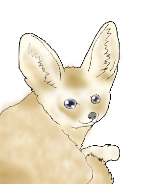 Fennec Fox