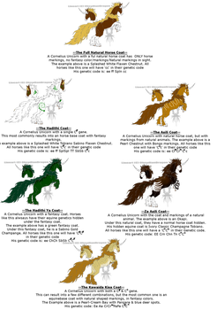 Cornelius Unicorns Genetics Sheet 3