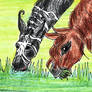 Preys are stronger in a herd