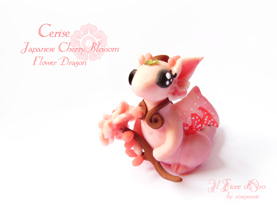 Cerise, Cherry Blossom Dragon