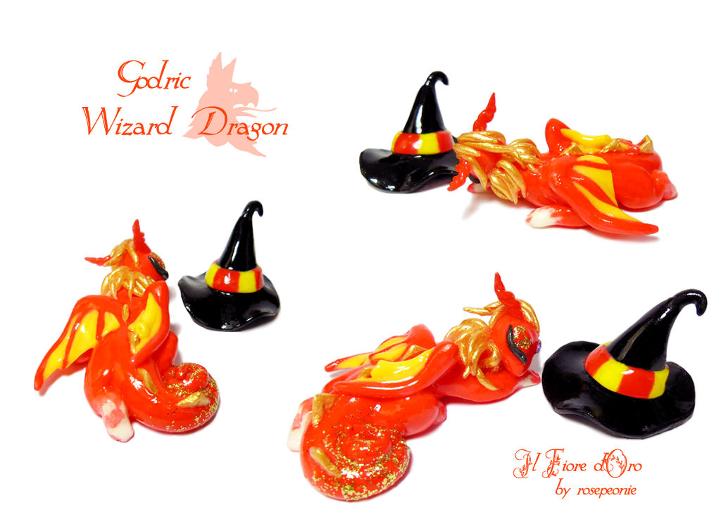 Godric, wizard dragon 2