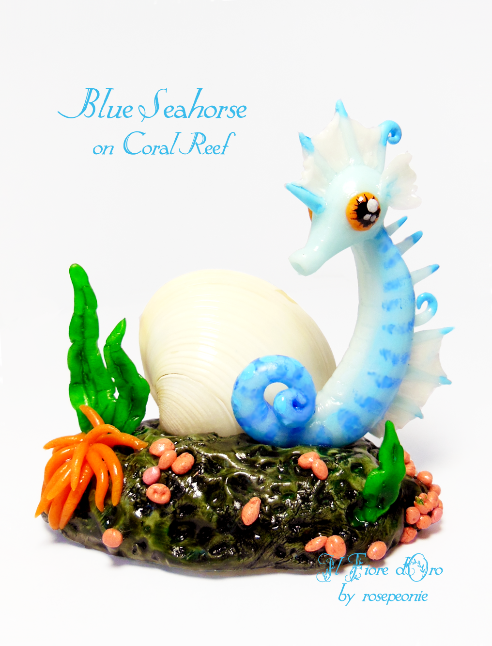 Blue Seahorse on Coral Reef