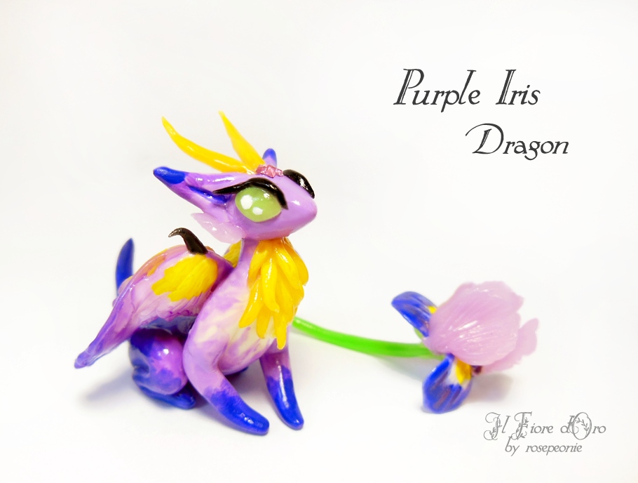 Purple Iris dragon 2