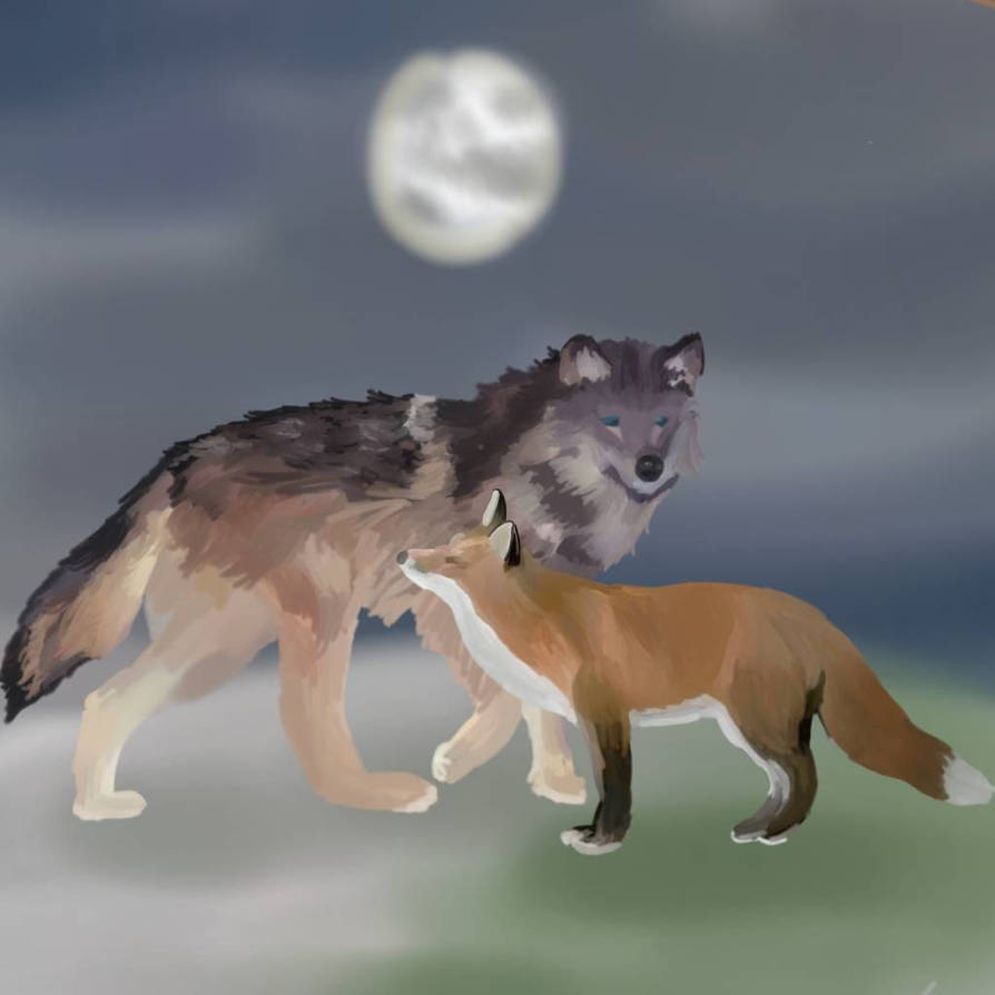 A fox and a wolf by what3var on DeviantArt