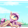 Fluttershy