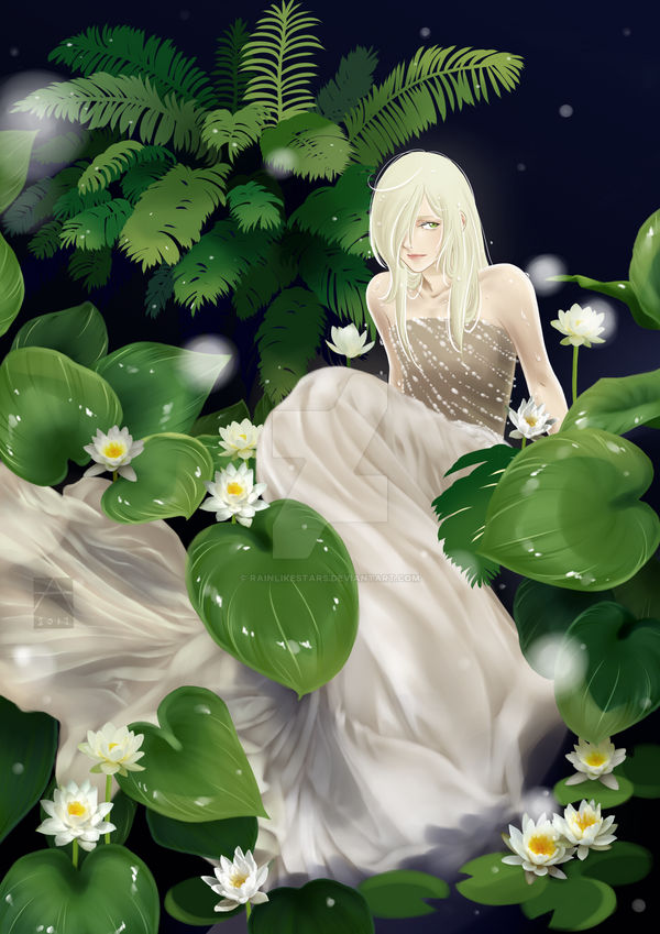 Lily Of The Lake