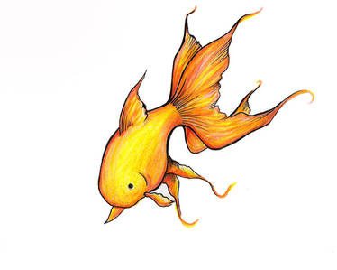 Goldfish