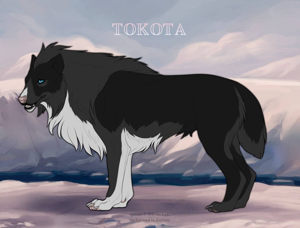 Design Central August 2021 Closed By Totemspirit On Deviantart Design Central Tokotas November 2022