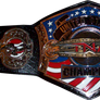 TNA USA Championship Belt...?