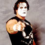 The Man Called STING