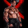 WWE '13 Farooq