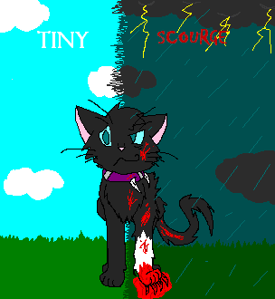 Warrior Cats: Scourge and Tiny | Art Board Print