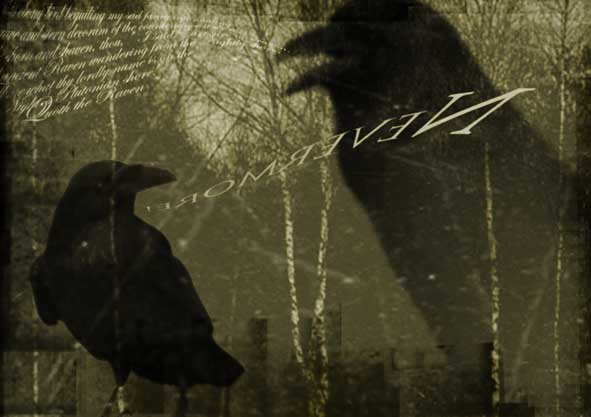 the Raven by babalisme