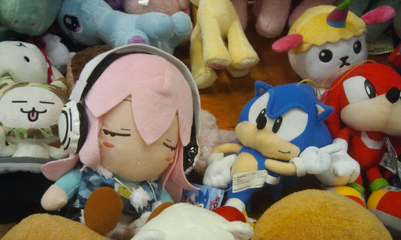 Sonico soundly sleeping besides Sonic