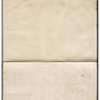 Old Grunger Paper Texture 10