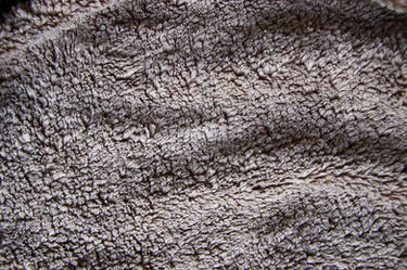 Plain Fabric Texture 08