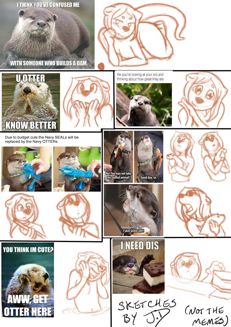 Otter Memes By J D86 On Deviantart