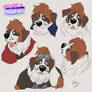 Shawn Expressions