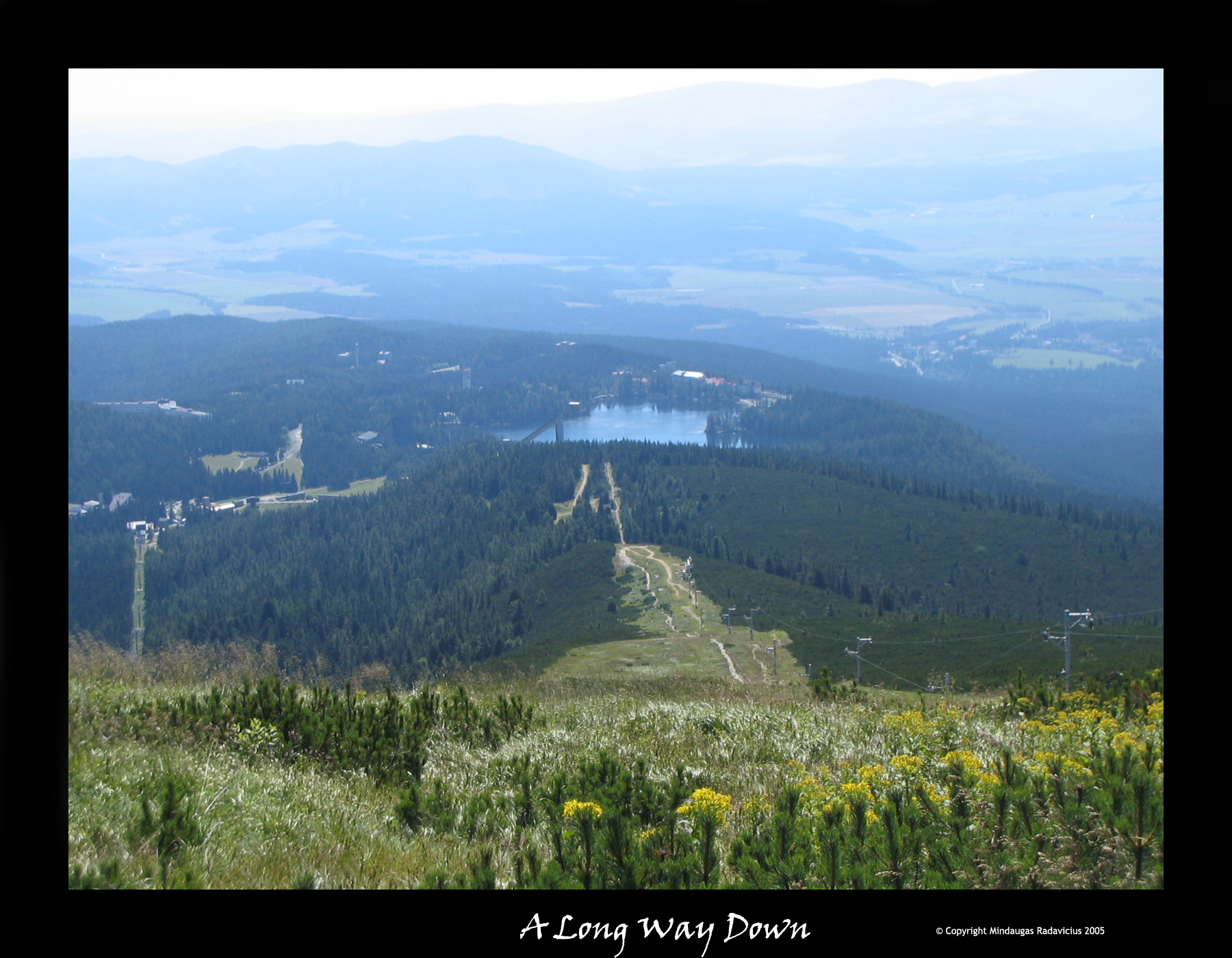 A Long Way Down