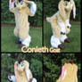 Conleth Goat
