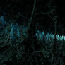 undergrid