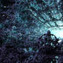 Pulsating Nexus