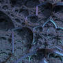 silica bonds