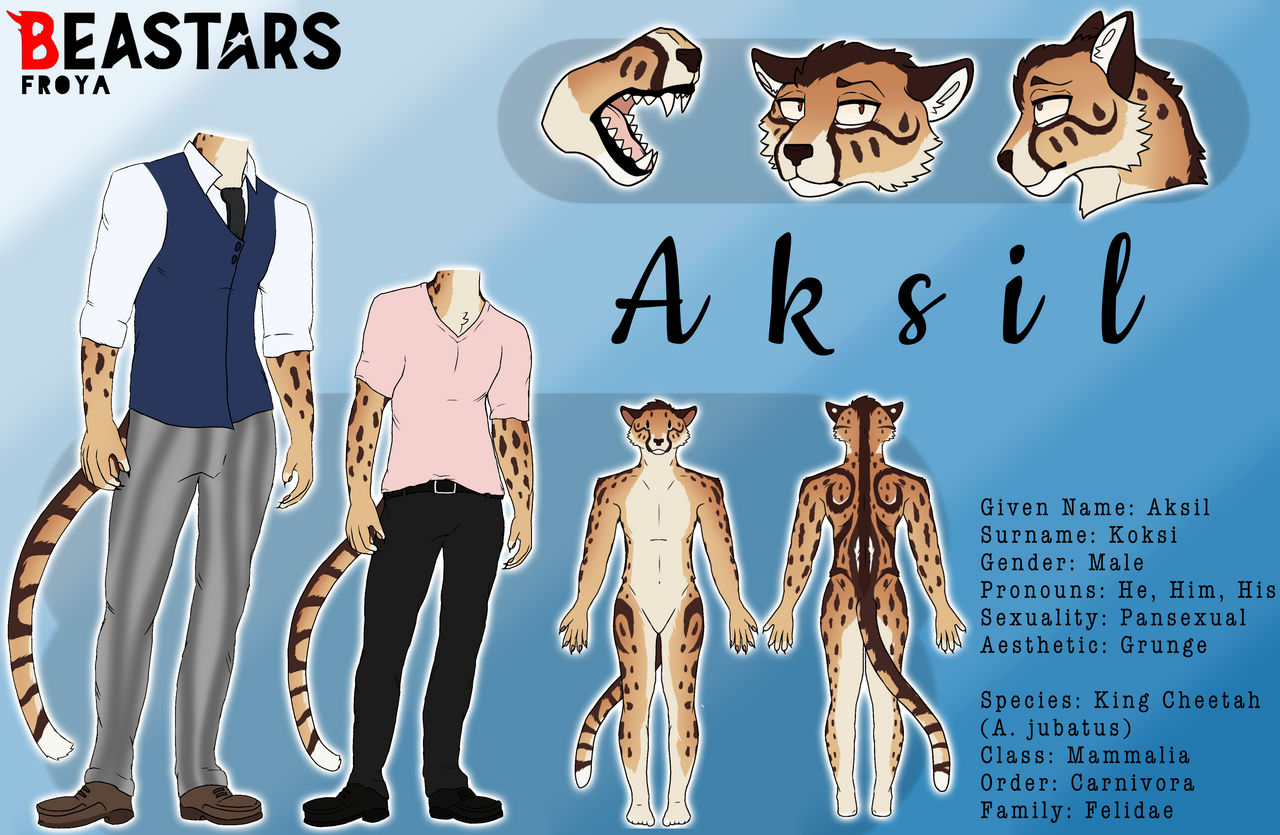 Beastars Model Reference BEASTARS OC REFERENCE - Aksil by FROYAao on DeviantArt
