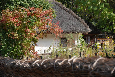 Historical rural building (hata)