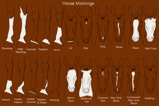 Horse Markings