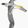 Pelagornis chilensis