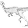 Megapnosaurus rhodesiensis