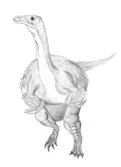 Segnosaurus galbinensis