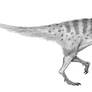 Juvenile Tyrannosaur
