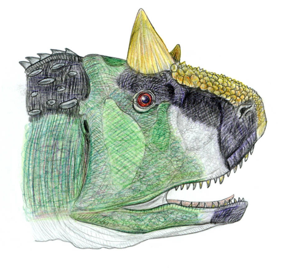 Carnotaurus Sastrei By PaleoAeolos On DeviantArt carnotaurus-sastrei-by-paleoaeolos-on-deviantart