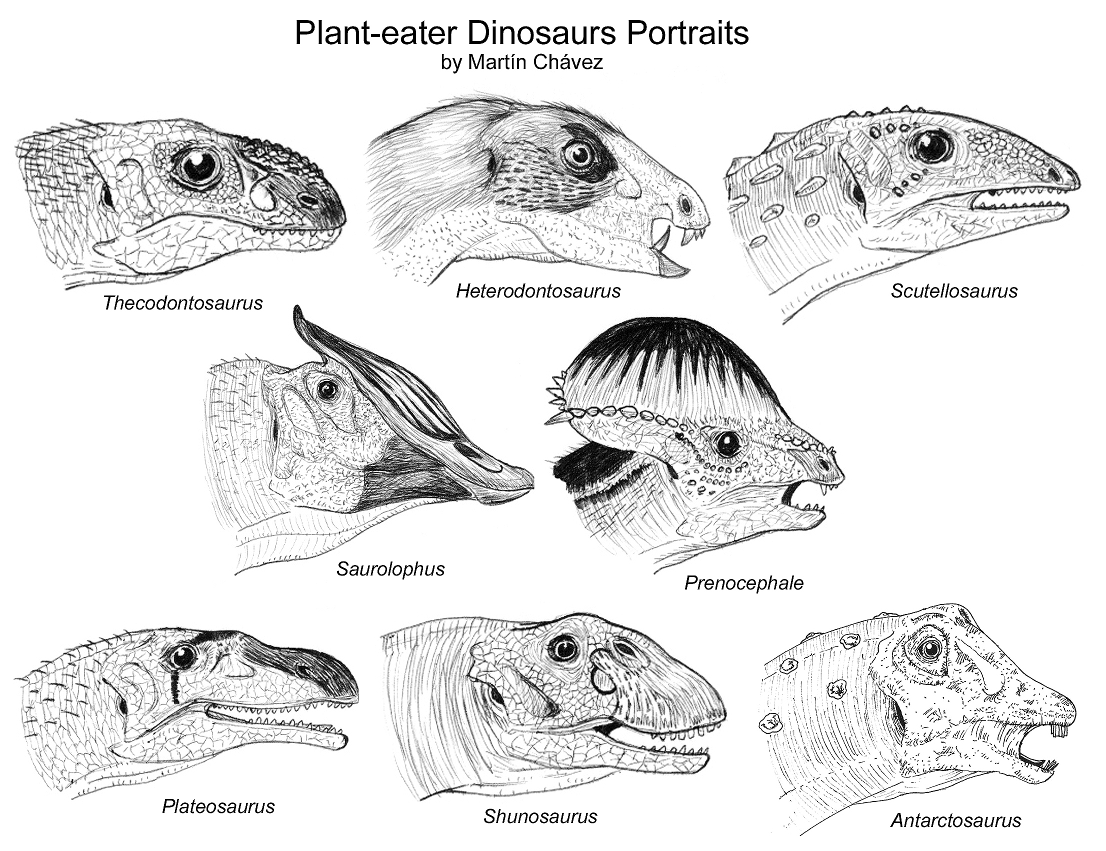 Plant-eater Dinosaurs Portrait