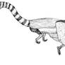 Coelophysis