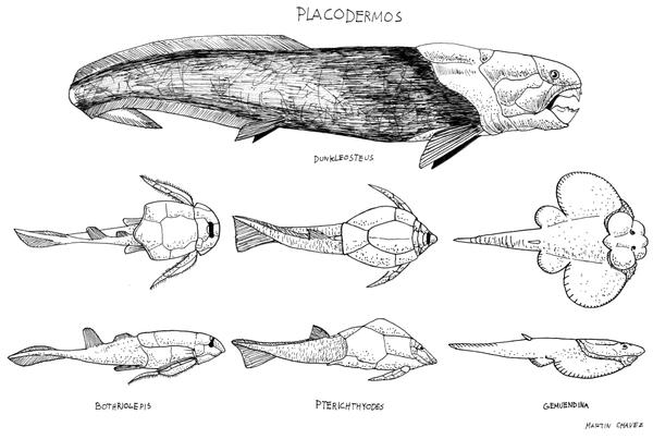 Placoderms by PaleoAeolos on DeviantArt