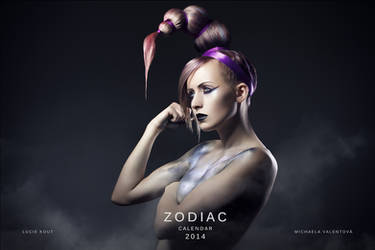 Zodiac hair fashion calendar by luciekout