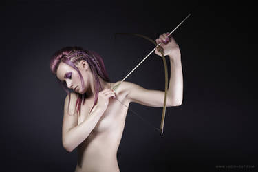 Sagittarius by luciekout
